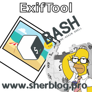 Exif info en Bash con Exiftool